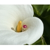 Bague d’époque Art Nouveau