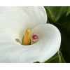 French Art Nouveau ring