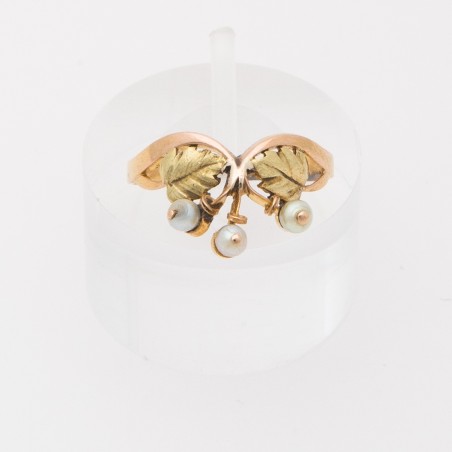 ART NOUVEAU FRENCH RING