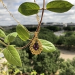 Pendentif Améthyste en goutte d'eau