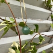 Half sphere Jade and Gold Pendant