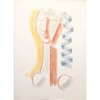 Lithographie M.Tozzi Femme bleu