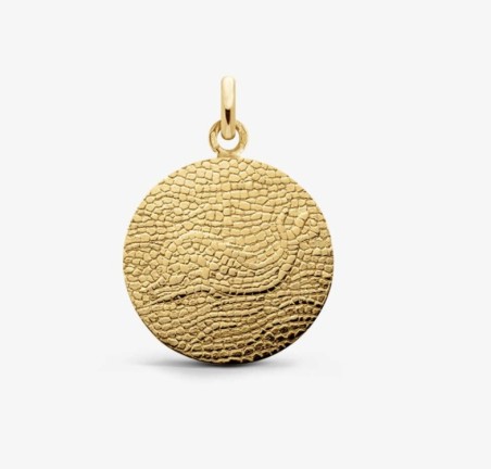 Médaille dauphin a la crois arthus Bertrand