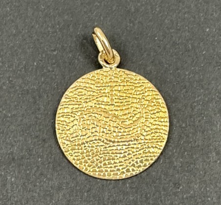 Médaille dauphin a la crois arthus Bertrand