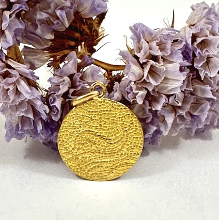 Médaille dauphin a la crois arthus Bertrand