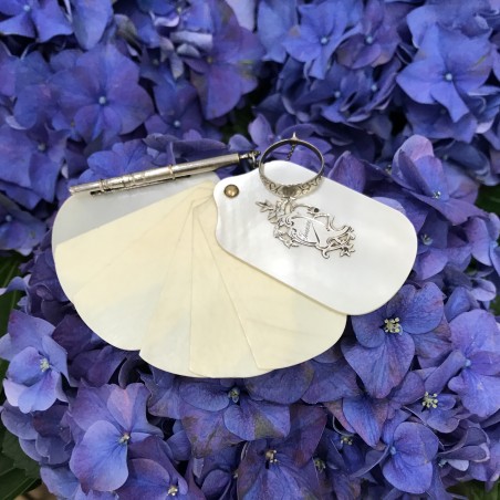 Objects of curiosities